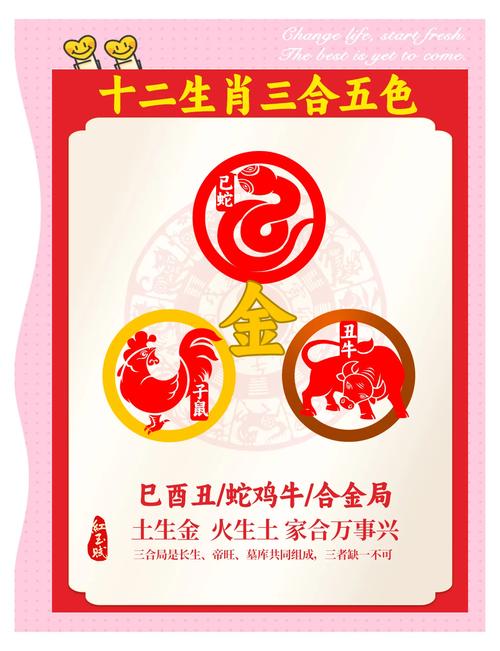 “三五接五配一三”打一最佳准确生肖的简单介绍