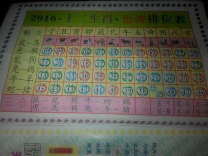 今期待马_今期待马排第八是什么生肖