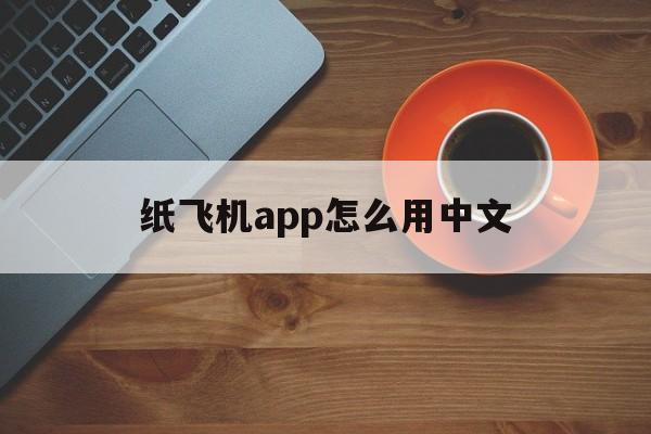 纸飞机app怎么用中文_纸飞机app怎么翻译成中文