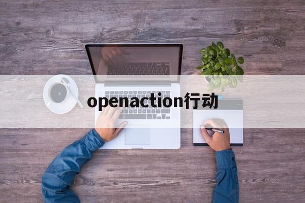 openaction行动_action plan 行动方案